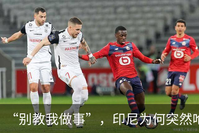 “别教我做事”，印尼为何突然呛声新加坡？
