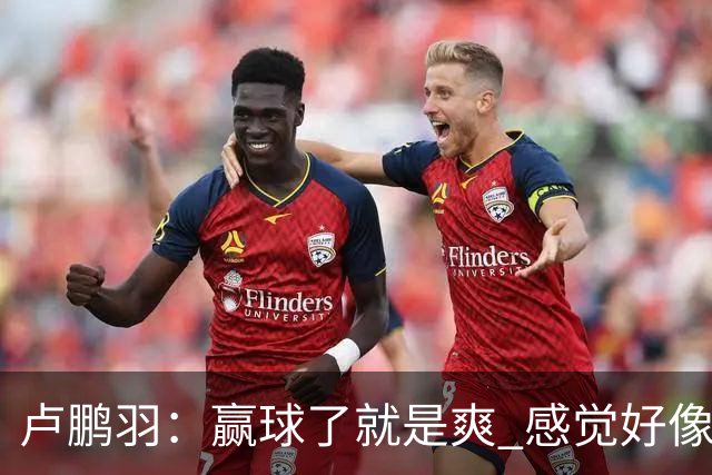 卢鹏羽：赢球了就是爽 感觉好像憋了一口气上不来 终于上来了