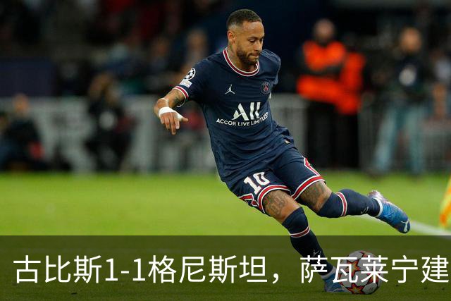 古比斯1-1格尼斯坦，萨瓦莱宁建功