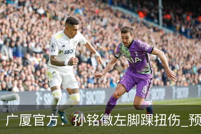广厦官方：孙铭徽左脚踝扭伤 预计缺阵4-6周