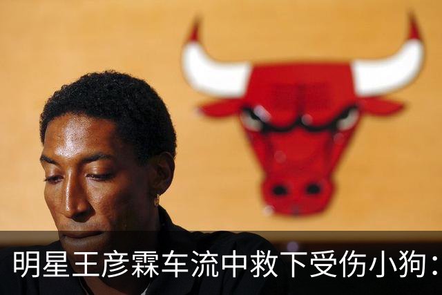 明星王彦霖车流中救下受伤小狗：医生说它生完就被扔了，王彦霖决定收养它，取名Lucky。