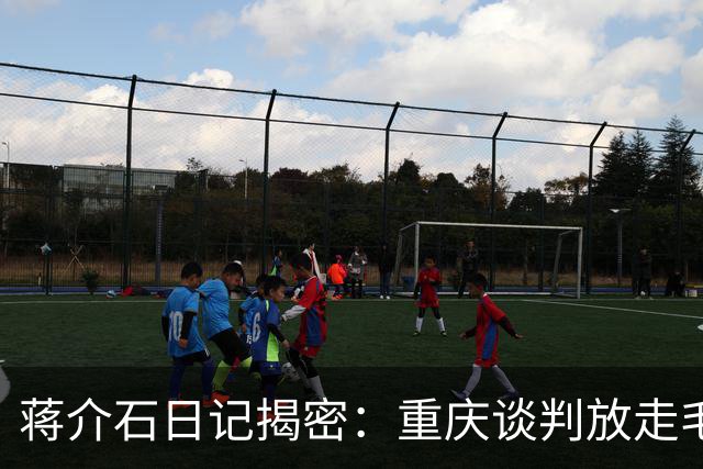蒋介石日记揭密：重庆谈判放走毛泽东，真正原因就这两点