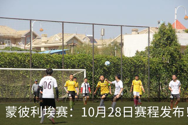 蒙彼利埃赛：10月28日赛程发布！国乒5人出战，王曼昱大迪迎强敌